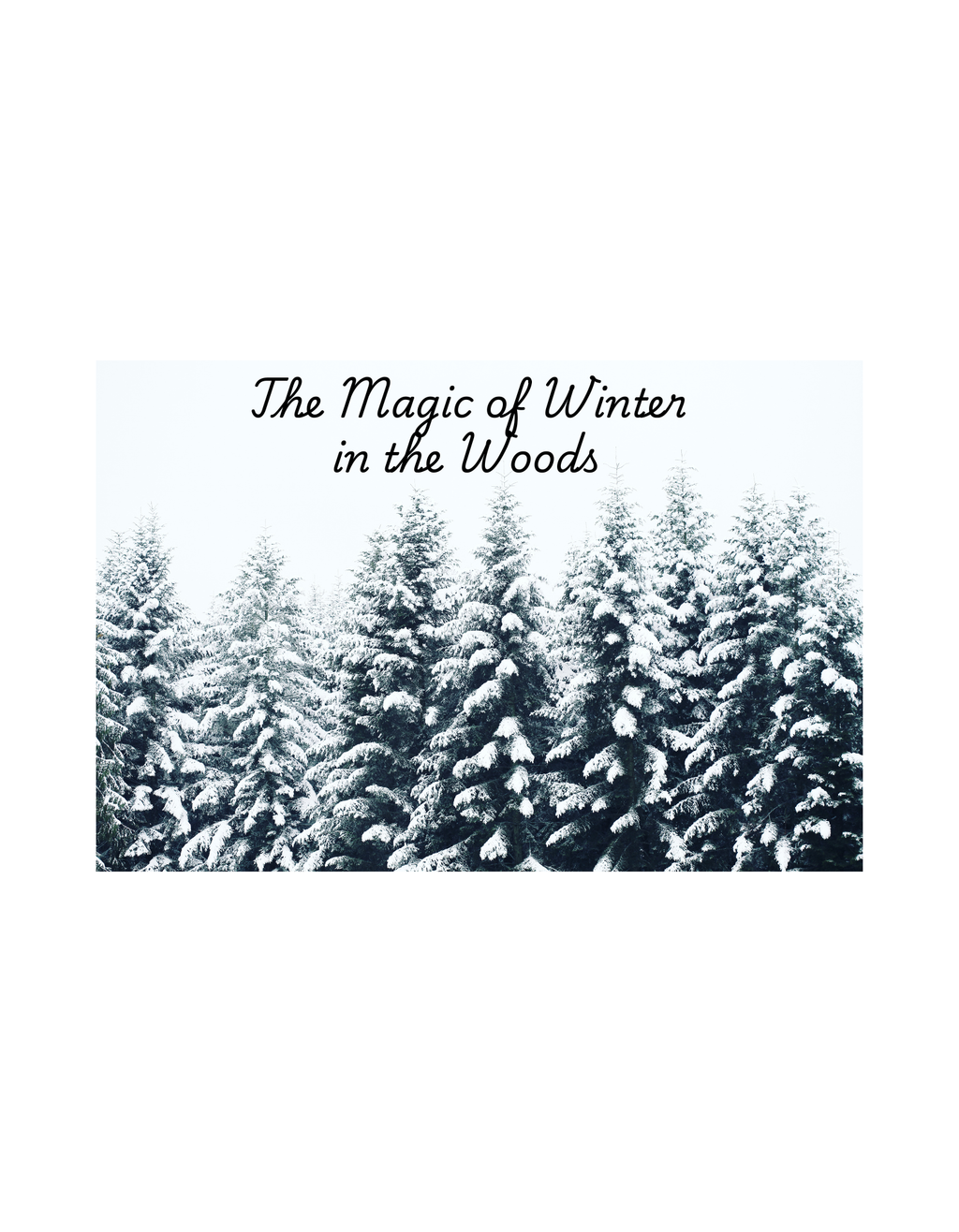The Magic of Winter 16 oz Clear Glass Can Tumbler