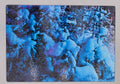 Magical Winter Bushes Textured Glass Cutting Board