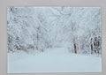 Winter in the ADK Woods Smooth Glass Cutting Board