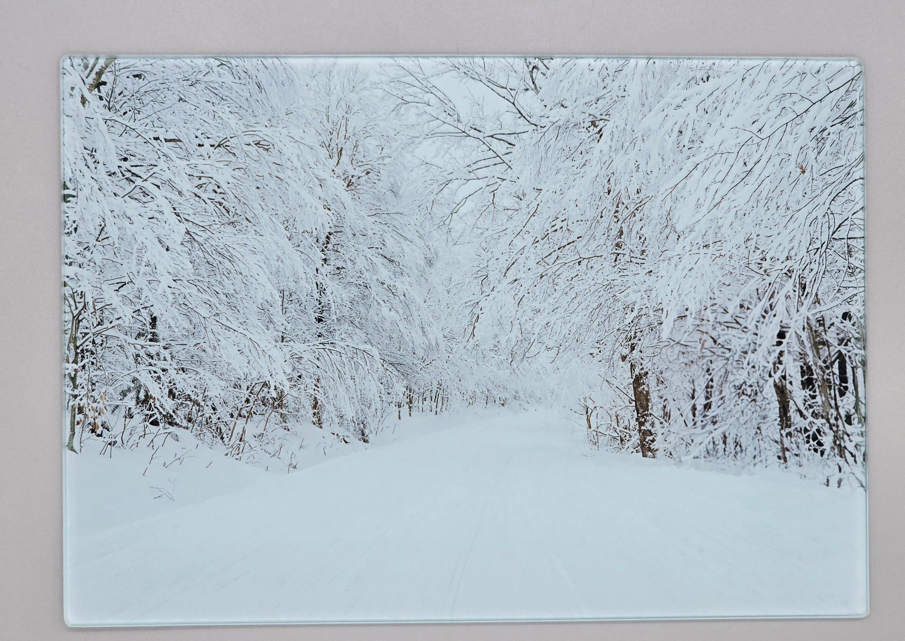 Winter in the ADK Woods Smooth Glass Cutting Board