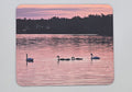 Swans Swimming With The Sunset Mouse Pad