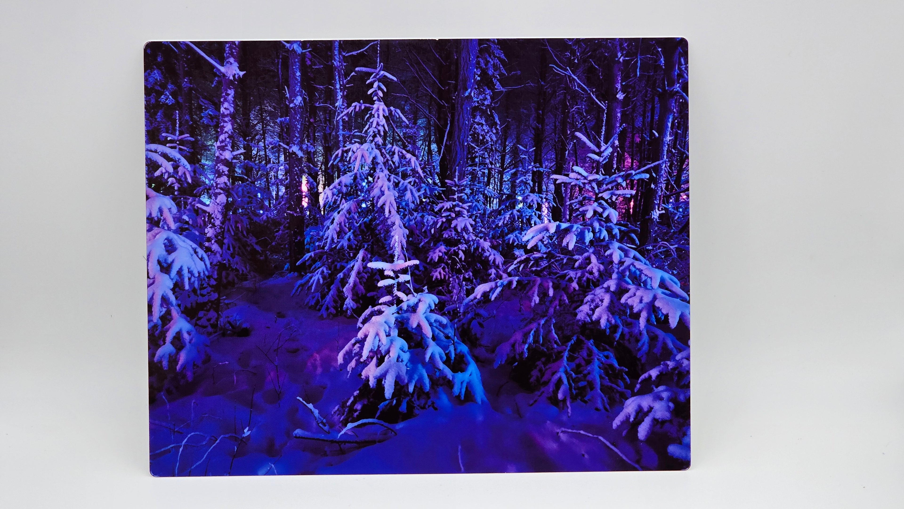 Winter Lights 8x10 Aluminum Photo Panel