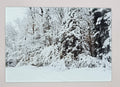Winter in the ADK Woods Smooth Glass Cutting Board