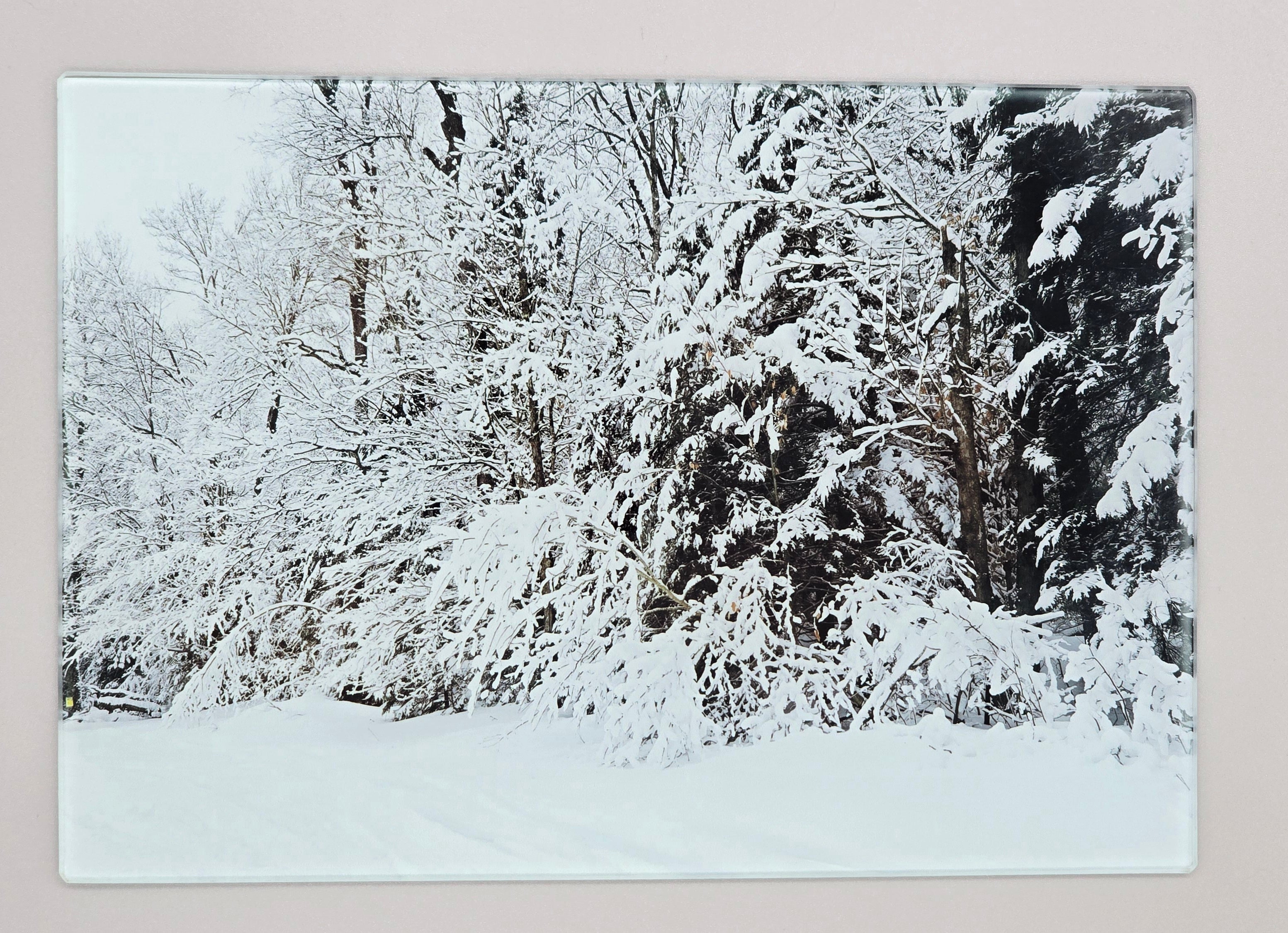 Winter in the ADK Woods Smooth Glass Cutting Board