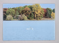 Swans Swimming in the Bay Smooth Glass Cutting Board