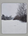 Winter In The ADK Woods Mouse Pad
