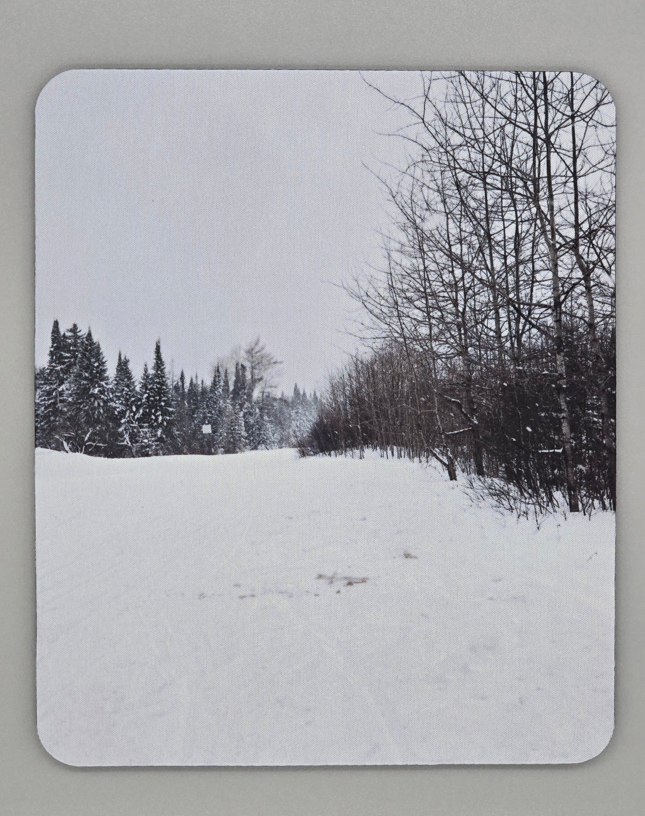 Winter In The ADK Woods Mouse Pad