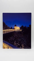 Lighted Eagle Nest 8x10 Aluminum Photo Panel