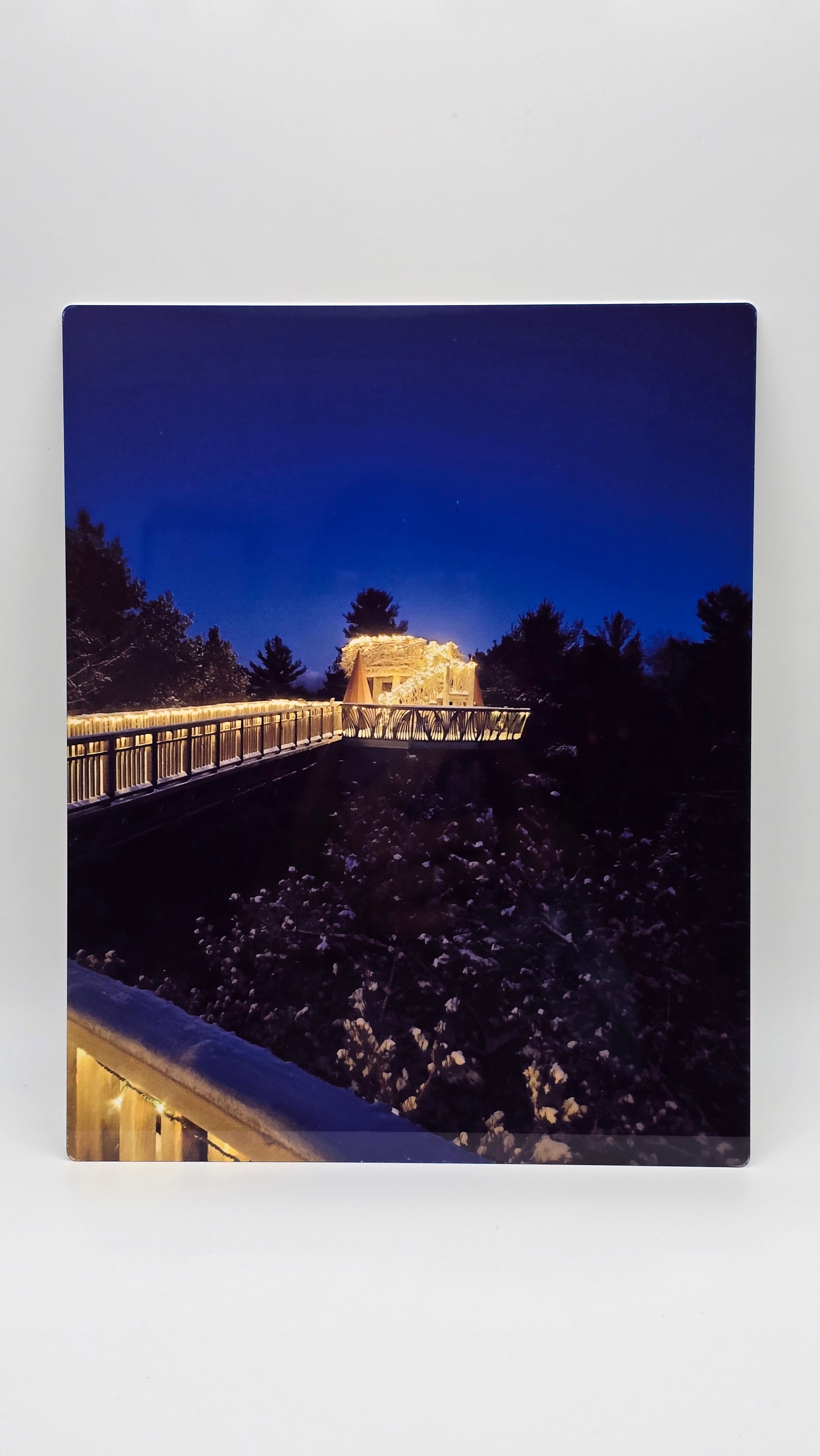 Lighted Eagle Nest 8x10 Aluminum Photo Panel