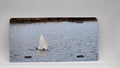 Swan In The Bay Aluminum License Plate Sign