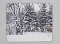 Winter In The Woods Mouse Pad