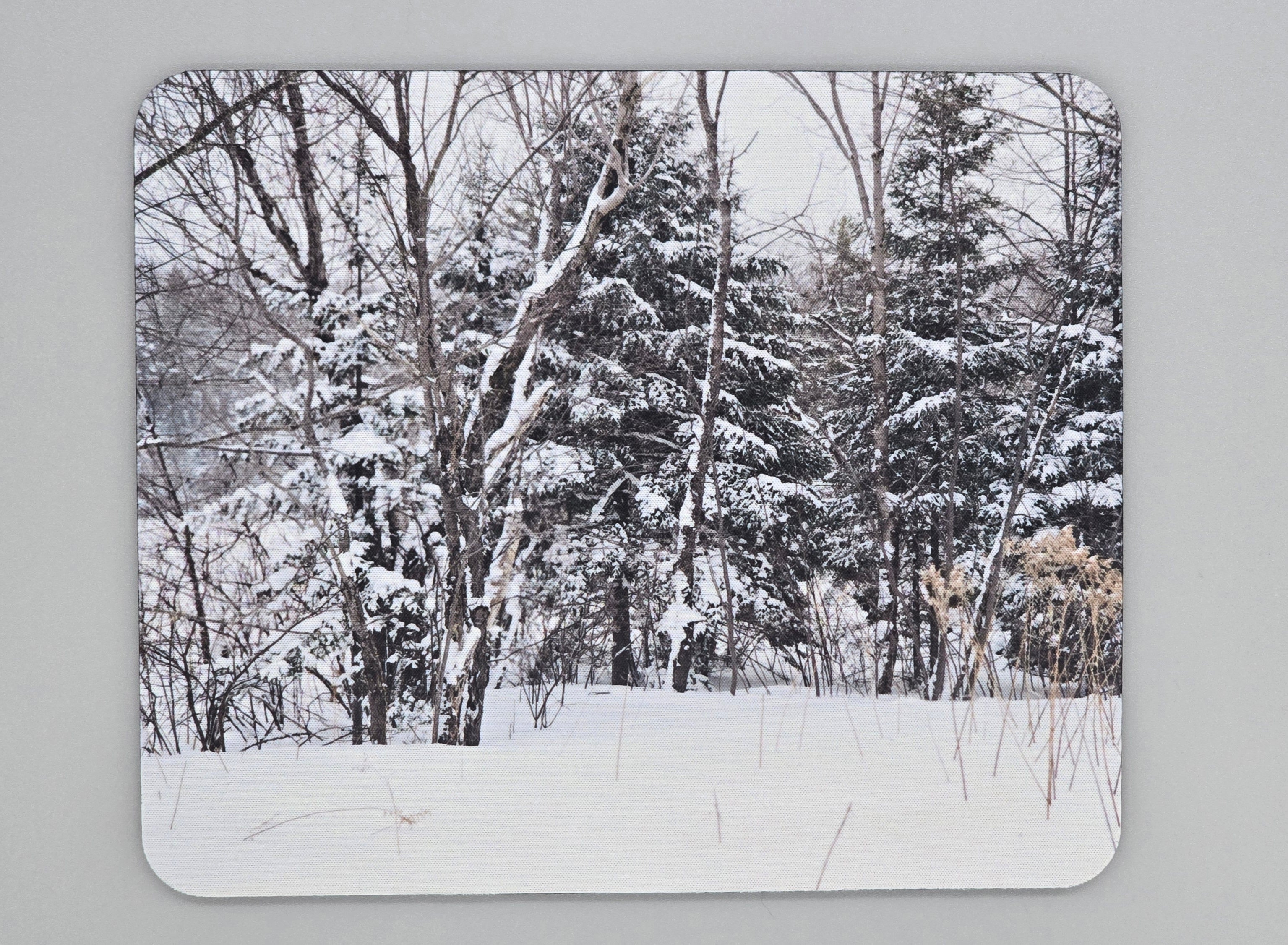 Winter In The Woods Mouse Pad