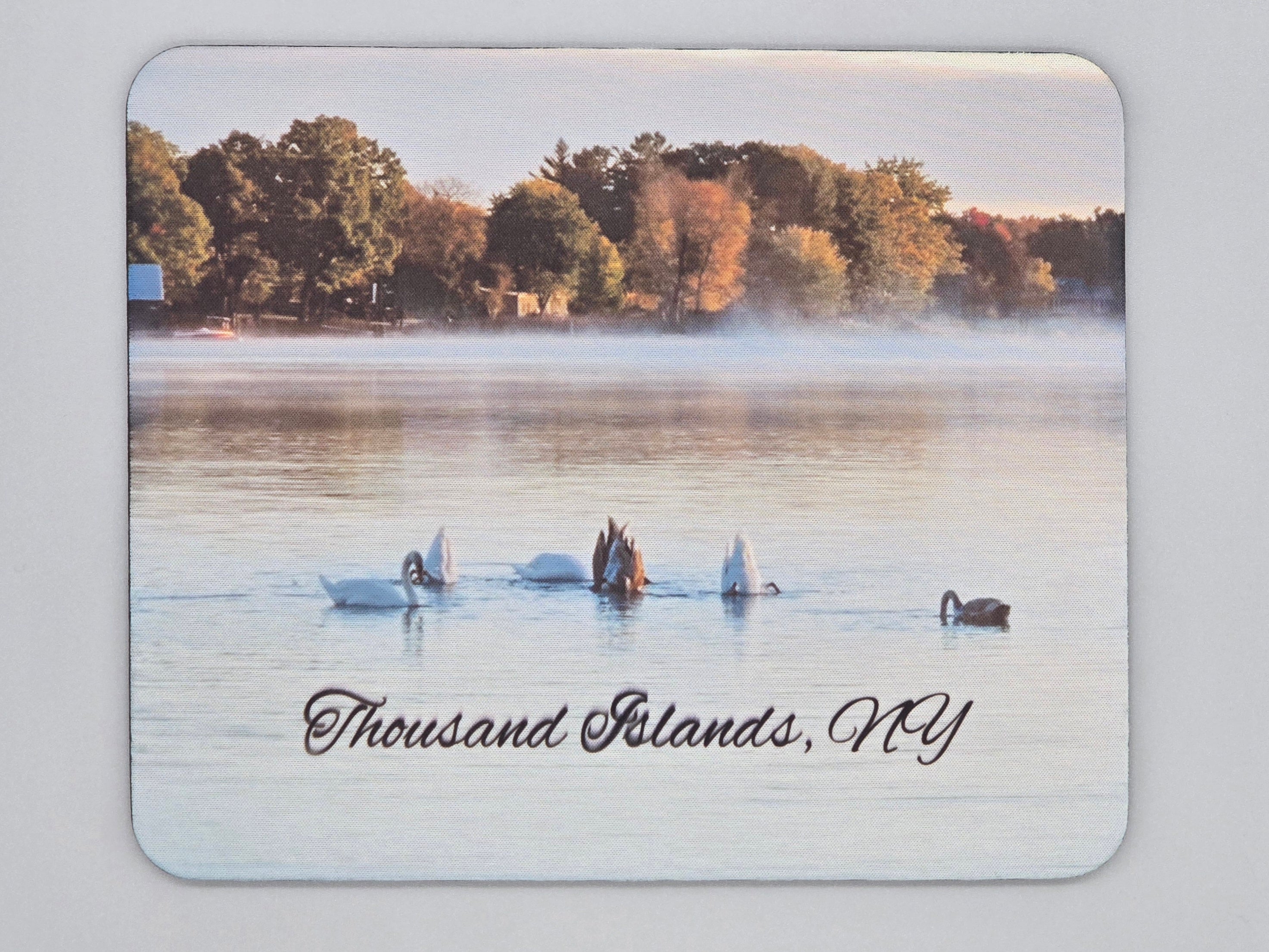 Swans Swimming in the Bay Mouse Pad