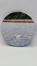 Swans Swimming Ceramic Drink Coaster