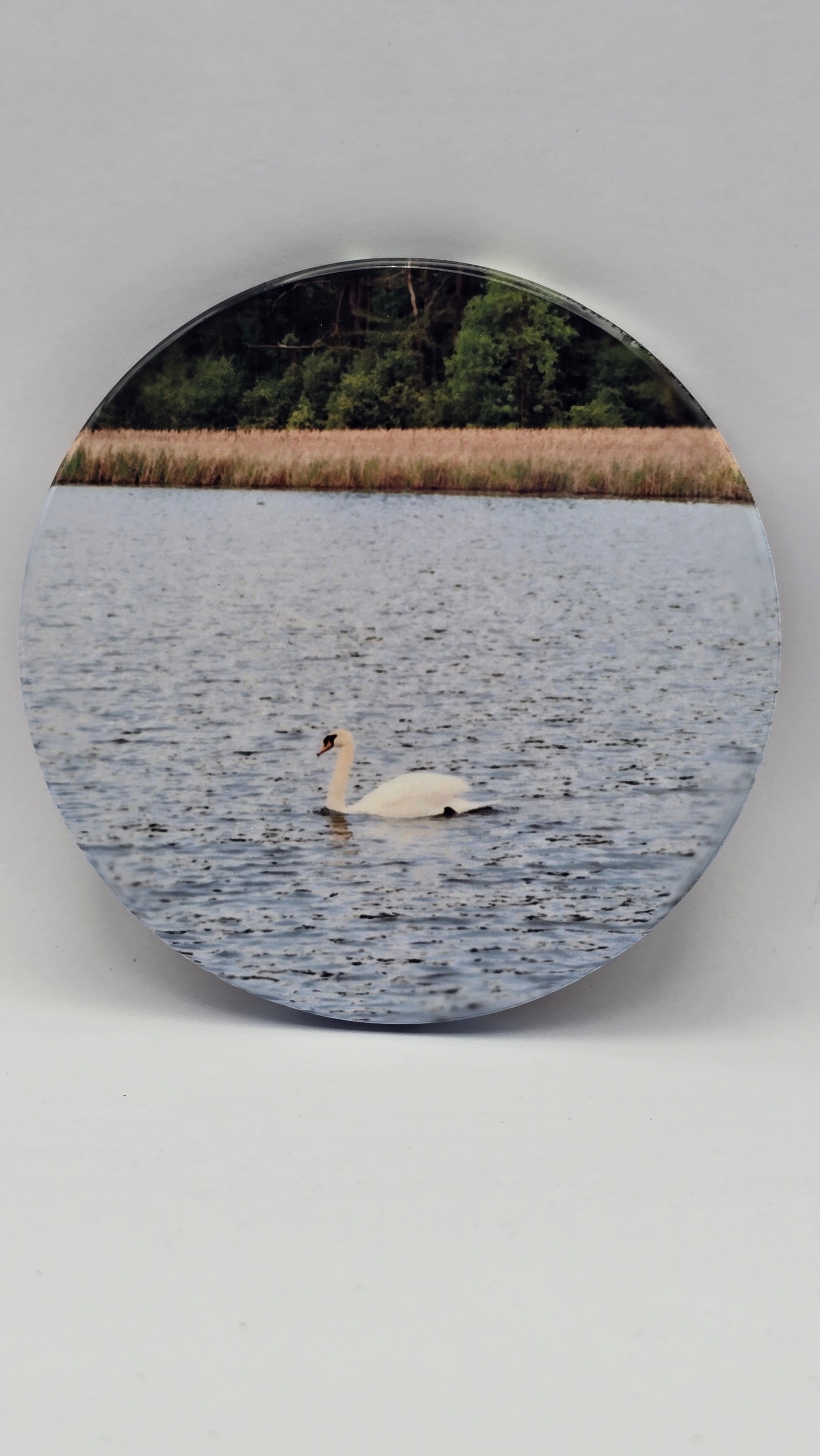 Swans Swimming Ceramic Drink Coaster