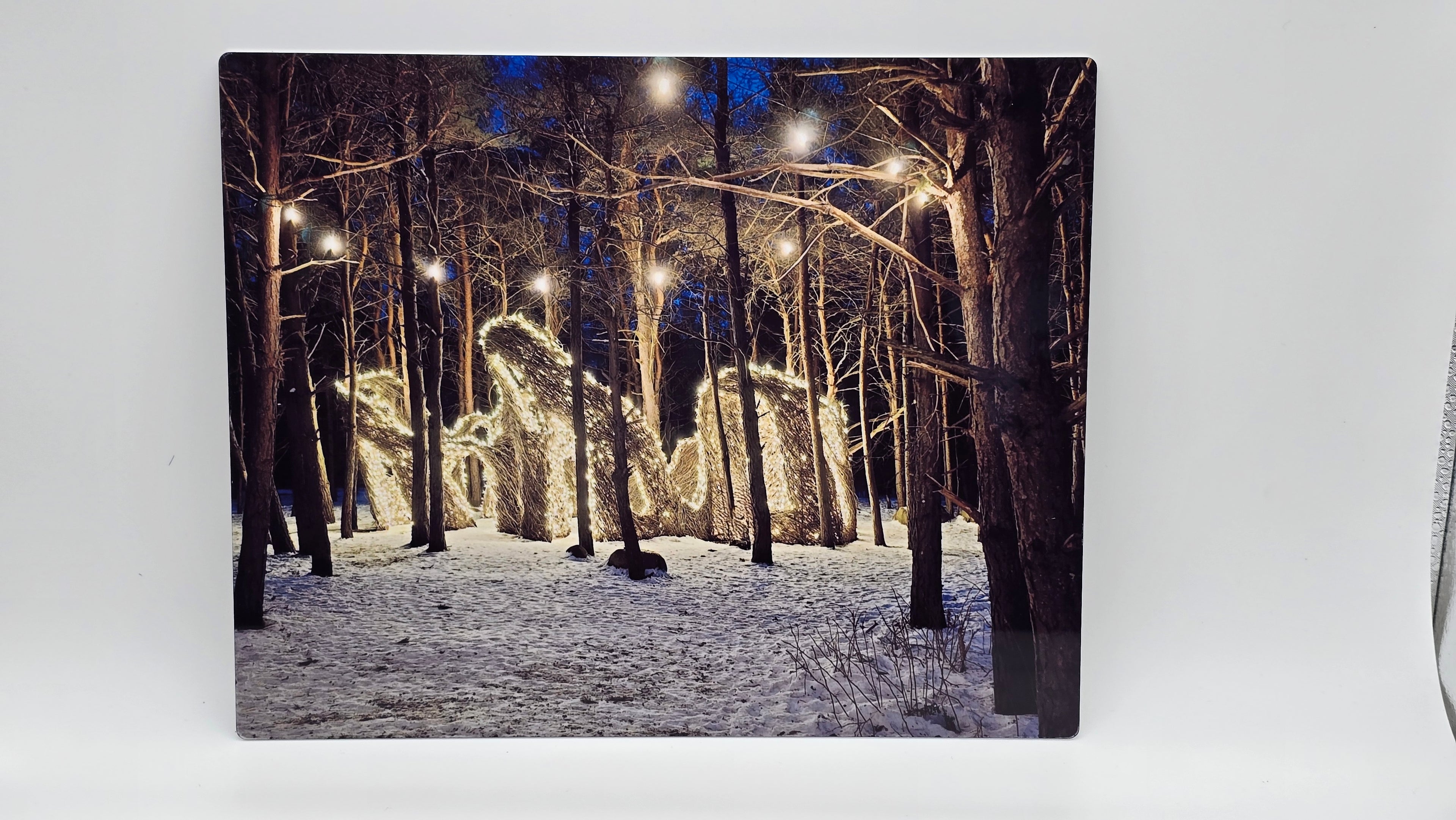 Lighted Nest 8x10 Aluminum Photo Panel